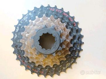 PACCO PIGNONI 8 RAPPORTI

11-32


BUONE CONDIZIONI