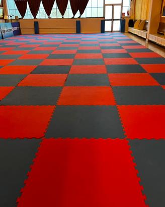 TATAMI KARATE PROGAME TROCELLEN