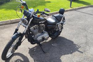 sportsters 883 custom