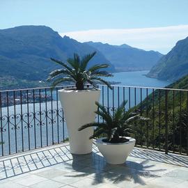 Vaso Serralunga Ming Alto Design Rodolfo Dordoni