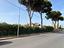 Immagine 7