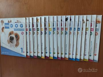 The Dog Collection