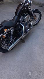 Harley-Davidson Sportster 883 Custom (XL883C)