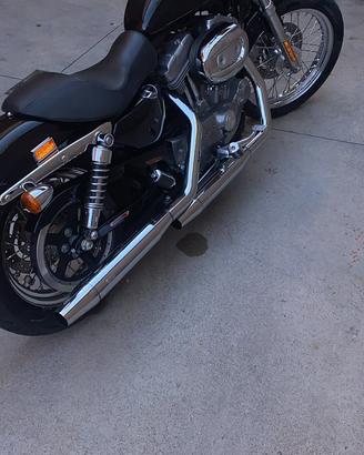 Harley-Davidson Sportster 883 Custom (XL883C)