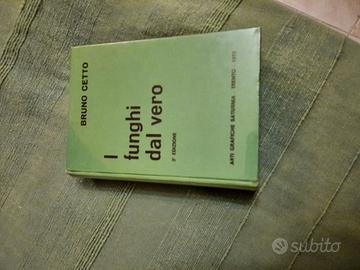 I FUNGHI DAL VIVO