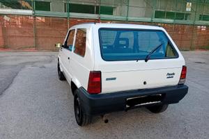 Fiand panda selecta