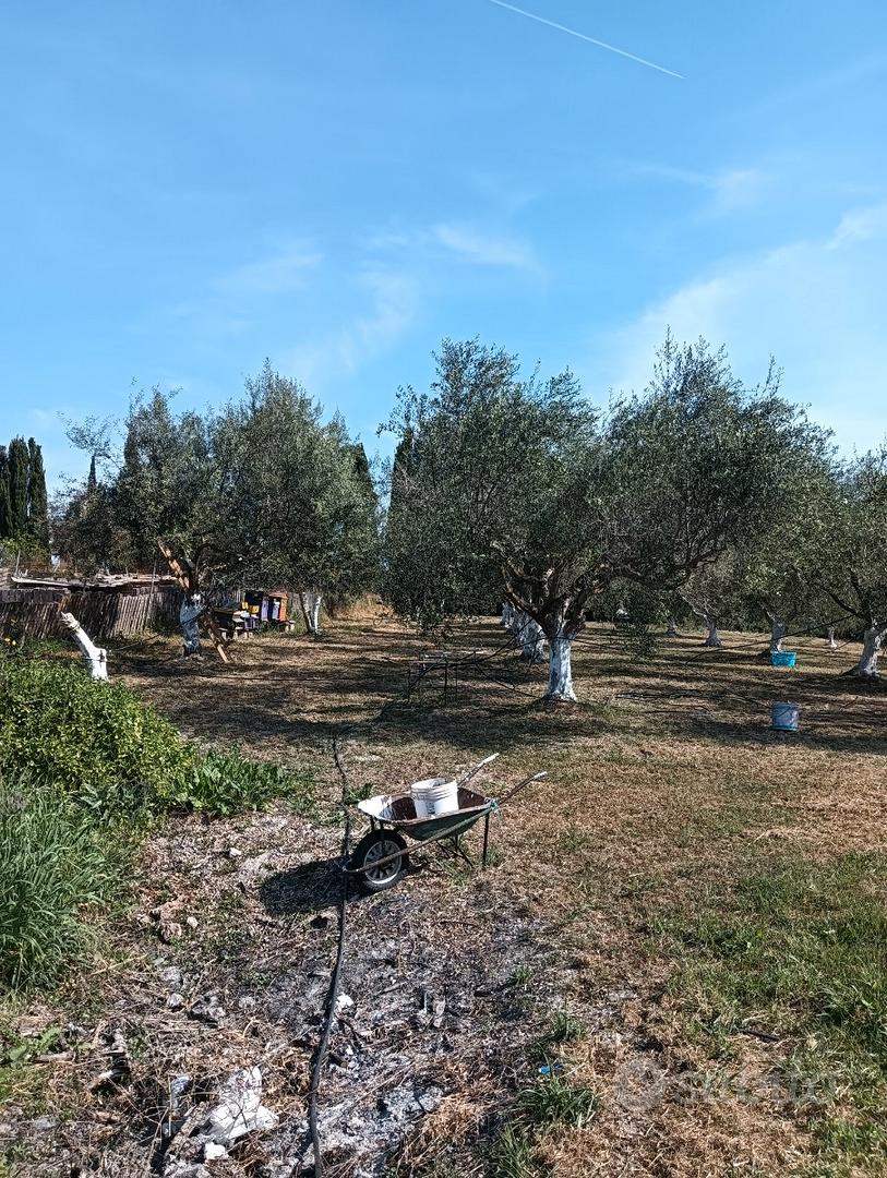 Appezzamento di terreno non edificabile - Vista 3
