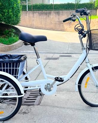 bicicletta 3 ruote