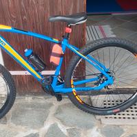 Bicicletta MTB Olmo