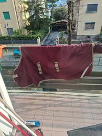 coperta pony  paddock +piumottino 