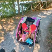 Carrello porta bimbi per bici