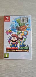 Mario e Luigi fraternauti alla Carica Switch  New