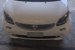  Smart Fortwo ben tenuta aut.