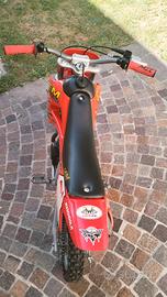Lem 50 monomarcia