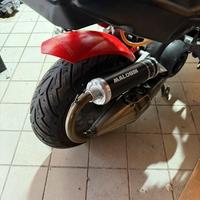 Marmitta malossi team 1 zip
