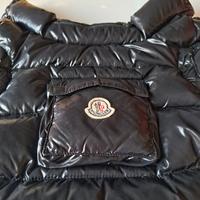 Moncler Chihuahua cane/dog