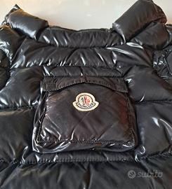 Moncler Chihuahua cane/dog