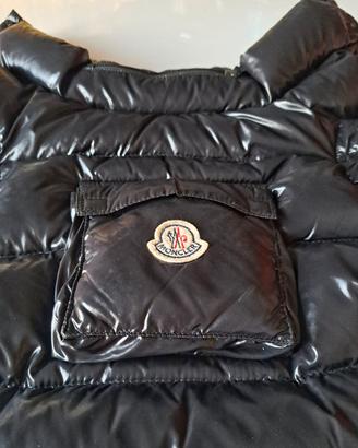 Moncler Chihuahua cane/dog
