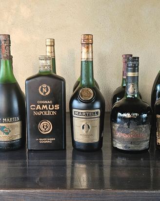 Lotto 17 Cognac Martell Cordon Bleu Camus Hennessy