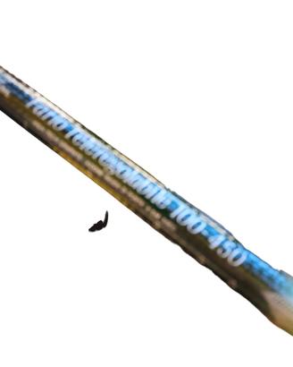 Canna da Pesca