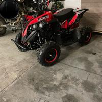 Renegade mini quad 50 cc