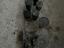 Immagine 2