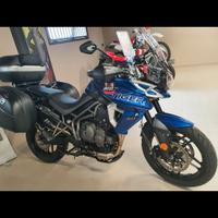 TIGER 800