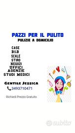 Pulizie domestiche