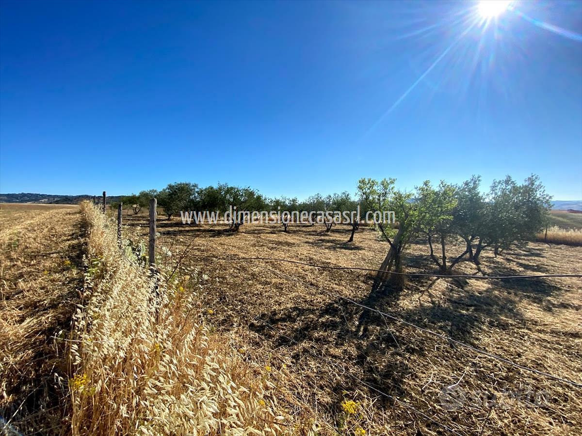 Rif.TA41-Terreno agricolo Caltanissetta - Vista 3