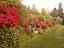 Immagine 24