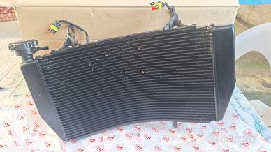 Radiatore Ducati Hypermotard 950