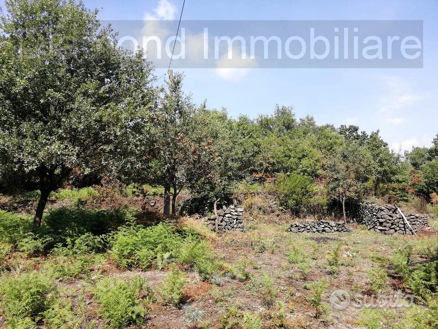 Terreno 3.000mq con progetto a Linguaglossa - Vista 5