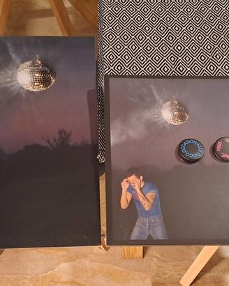 harry styles vinile poster e spille rare