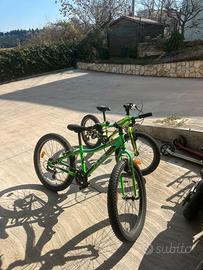 Bici Aurelia Plus 20-24