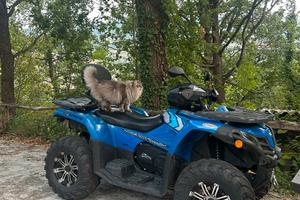 CFMoto 450 L