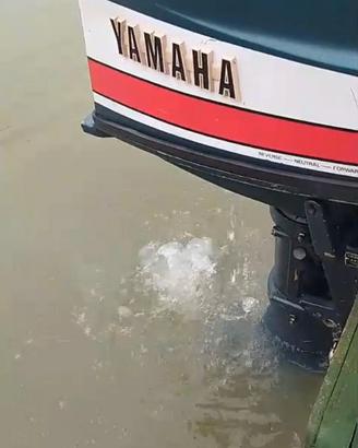 Motore fuoribordo 8 cv Yamaha