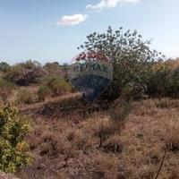 Terreno - Mascalucia