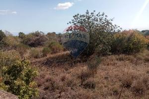 Terreno - Mascalucia