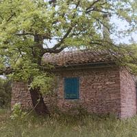 Casa con terreno (ampliamento mq 300)