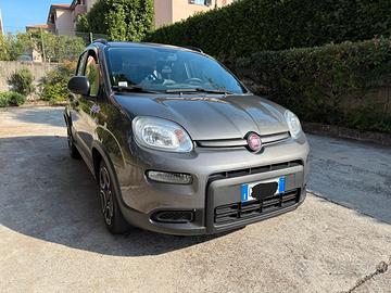 Panda Mild-Hybrid