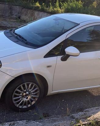 punto 1200 benzina