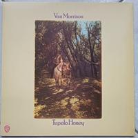 Vinile lp Tupelo Honey Van Morrison (perfetto)