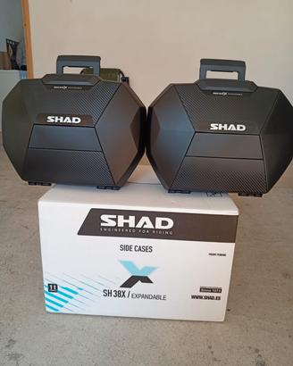 Valige Shad SH38X carbon