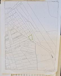 Terreno agricolo per semina