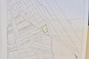 Terreno agricolo per semina
