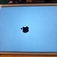 Ipad mini 2 32 gb wifi