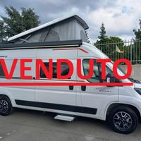 ROLLER TEAM Livingstone 2 Sport Limited POPUP