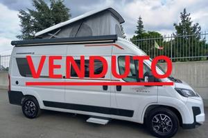 ROLLER TEAM Livingstone 2 Sport Limited POPUP