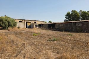 San Sperate. Capannone su lotto di 7260mq