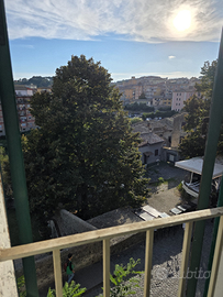 Appartamento monolocale vemtro storico